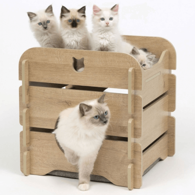 Cat Bed