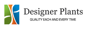 designer