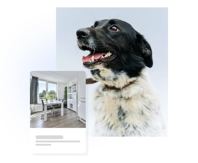 type 2 partner squarespace